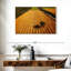 Alvord Hay Bales Fields-108733858
