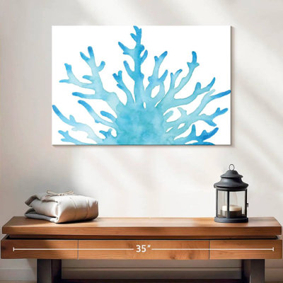 Corail de mer Brampt