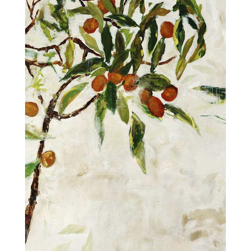 «Red Barrel Studio® Maas, Jodi Gallery, art sur toile tendue: Kumquat Tree 1991901, H 44 po x l 36 po