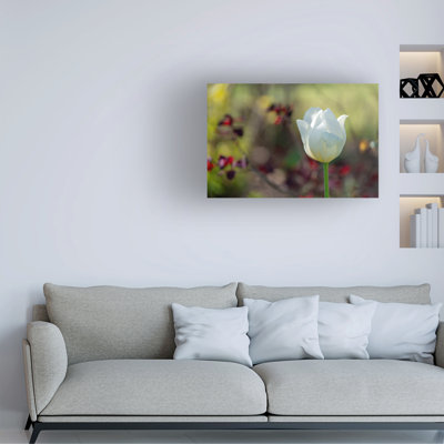 Art sur toile Suzanne Bonin