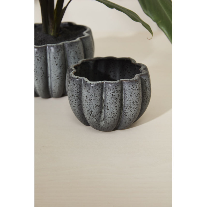 Pot à citrouille épicé 5,75 po x 4,25 po, H 4,25 po x l 5,75 po x P 5,75 po