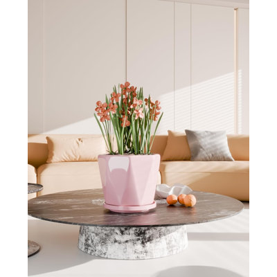 Set Of 3 Ceramic Plant Pots