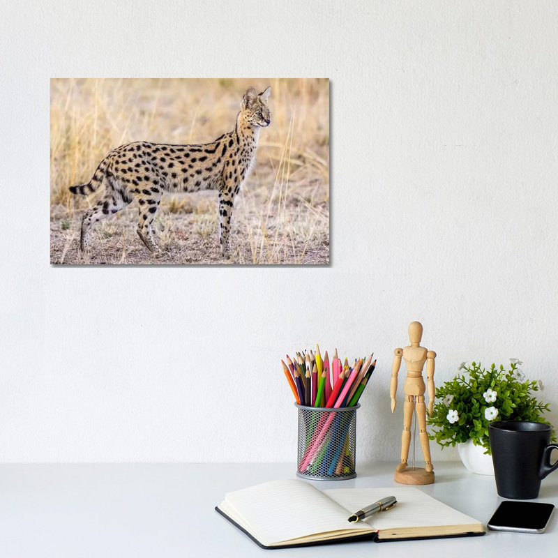 Serval Hunting by Jeffrey C. Sink - Wrapped Canvas Print, 20.32 cm H x 30.48 cm W