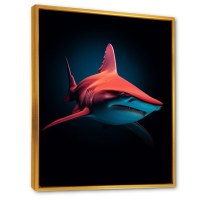 " Red Shark Photo Haven "