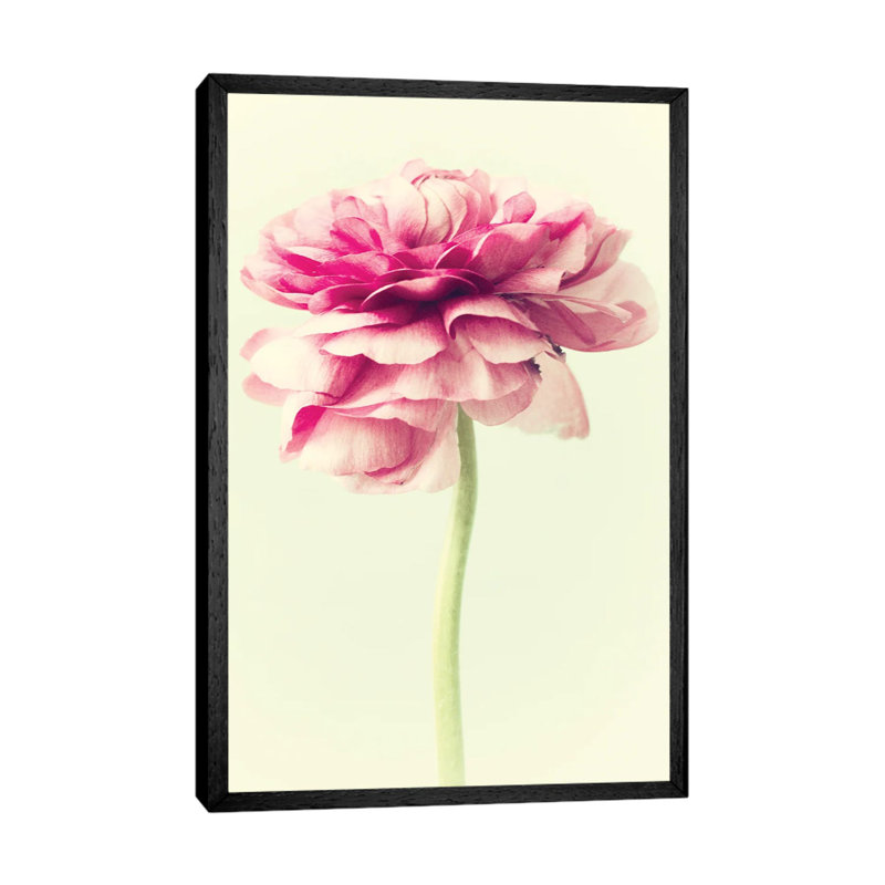 Lush Botanical I by Judy Stalus - Floater Frame Gallery-Wrapped Canvas Giclée on Canvas, Black, 66.04 cm H x 45.72 cm W