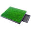 Tapis d'urine pour chien avec pelouse artificielle pour chien