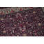 Wool Oriental Area Rug