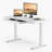 48'' W Adjustable Glass Electric Standing Desk with Drawer, USB  Ports