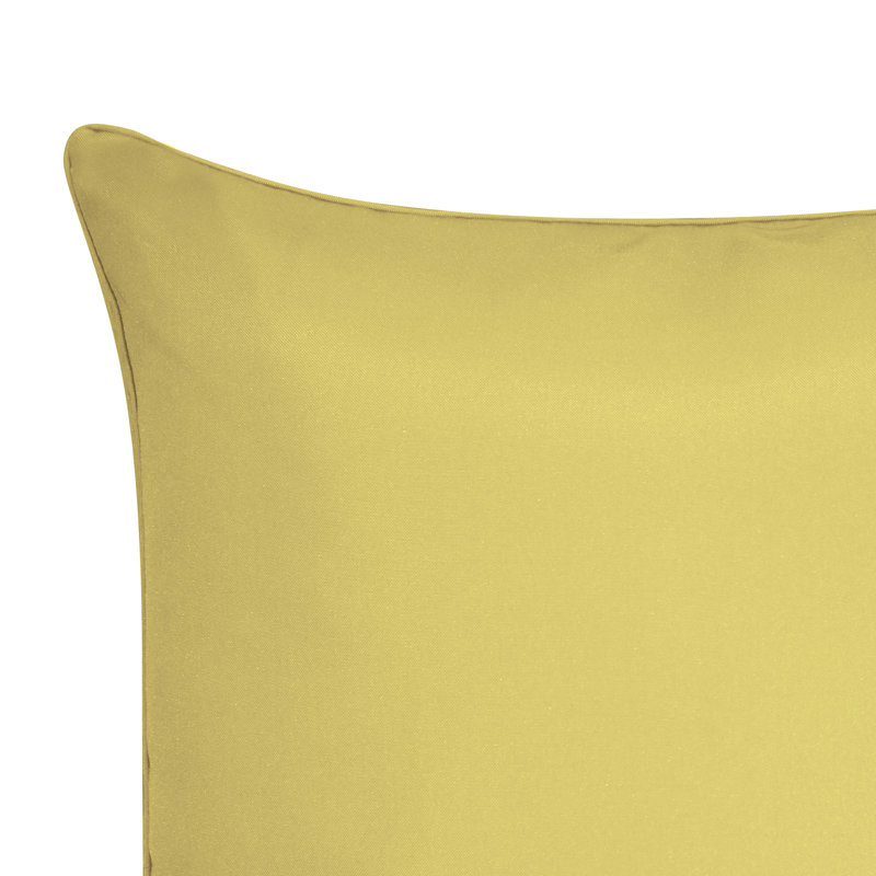 Appliqued Outdoor Reversible Throw Pillow, Citron