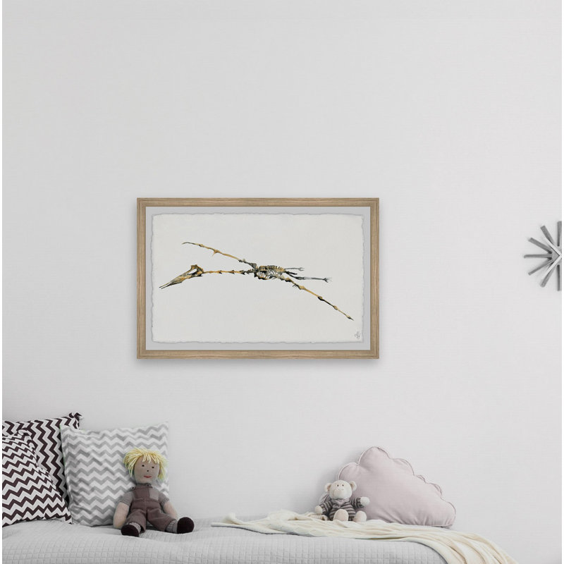 «Brokaw Pterodactyl Skeleton», reproduction encadrée, H 8 po x l 12 po x P 1,5 po