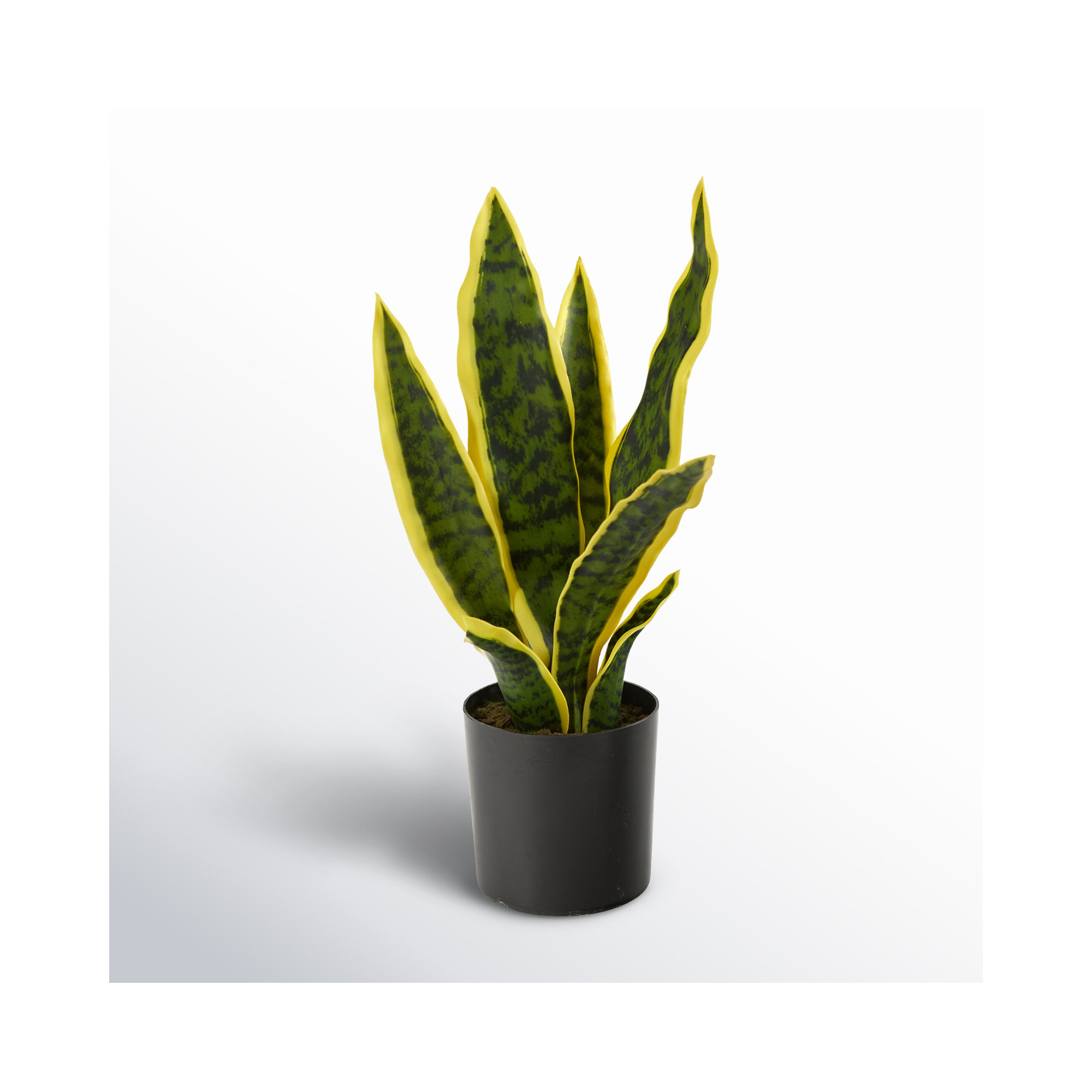 Faux Snake Plant (Sansevieria) Plant in Pot, Yellow, 14" H x 6" W x 6" D