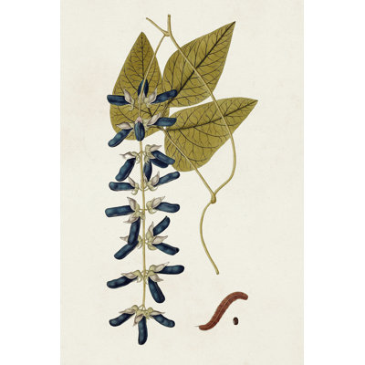 Exotic Botanicals VIII - Wrapped Canvas Print