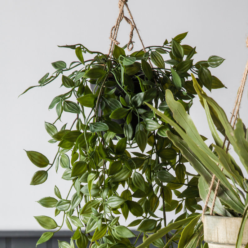 Faux Devil's Ivy Plant in Plastic Pot, 48cm H x 18cm W x 18cm D
