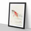 Two Carp by Ohara Koson - Framed Print-55614421-55614427