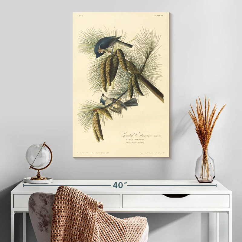 Brampt Crested Titmouse, 30" H x 20" W