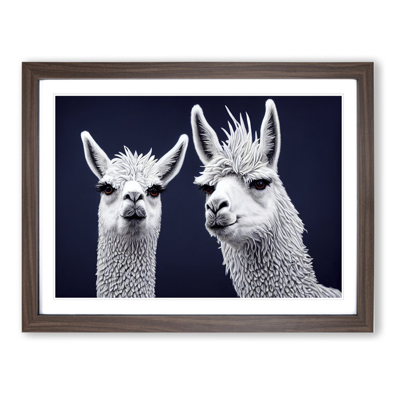 XH1022-9017X The Two Llamas Vol.3 - Single Picture Frame Print, 25cm H x 34cm W x 2cm D, Walnut Framed