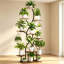 10 Tier Plant Stand