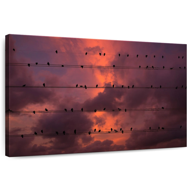 Pigeons Brampt sur des fils au coucher du soleil, H 24 po x l 36 po