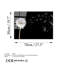 Boze Print on Glass