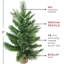Arbre de Noël artificiel en pin 24 po à motif de cachemire mélangé 24 pi - non éclairé