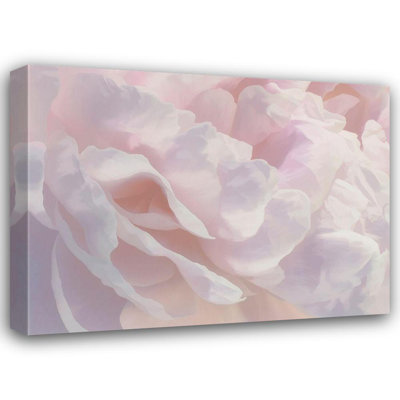 Art sur toile tendu Lark Manor ™ Pollard, David, Peony Pink Blush III