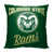 Colorado State University