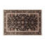 Tapis d'intérieur et d'extérieur brun Persian-1550421868