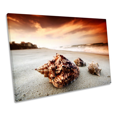 Sea Shell Sunset Beach - Wrapped Canvas Print