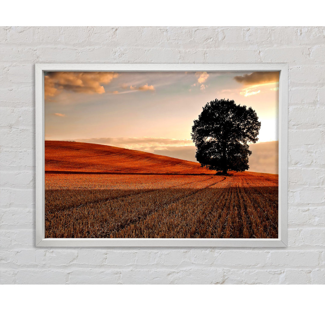 Einsamer Baum auf dem Feld Herbst Gerahmter Druck