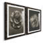 «Blossfeldt Flower III», ensemble de 2 reproductions de photos sur papier encadrées-1593793521-1593793533