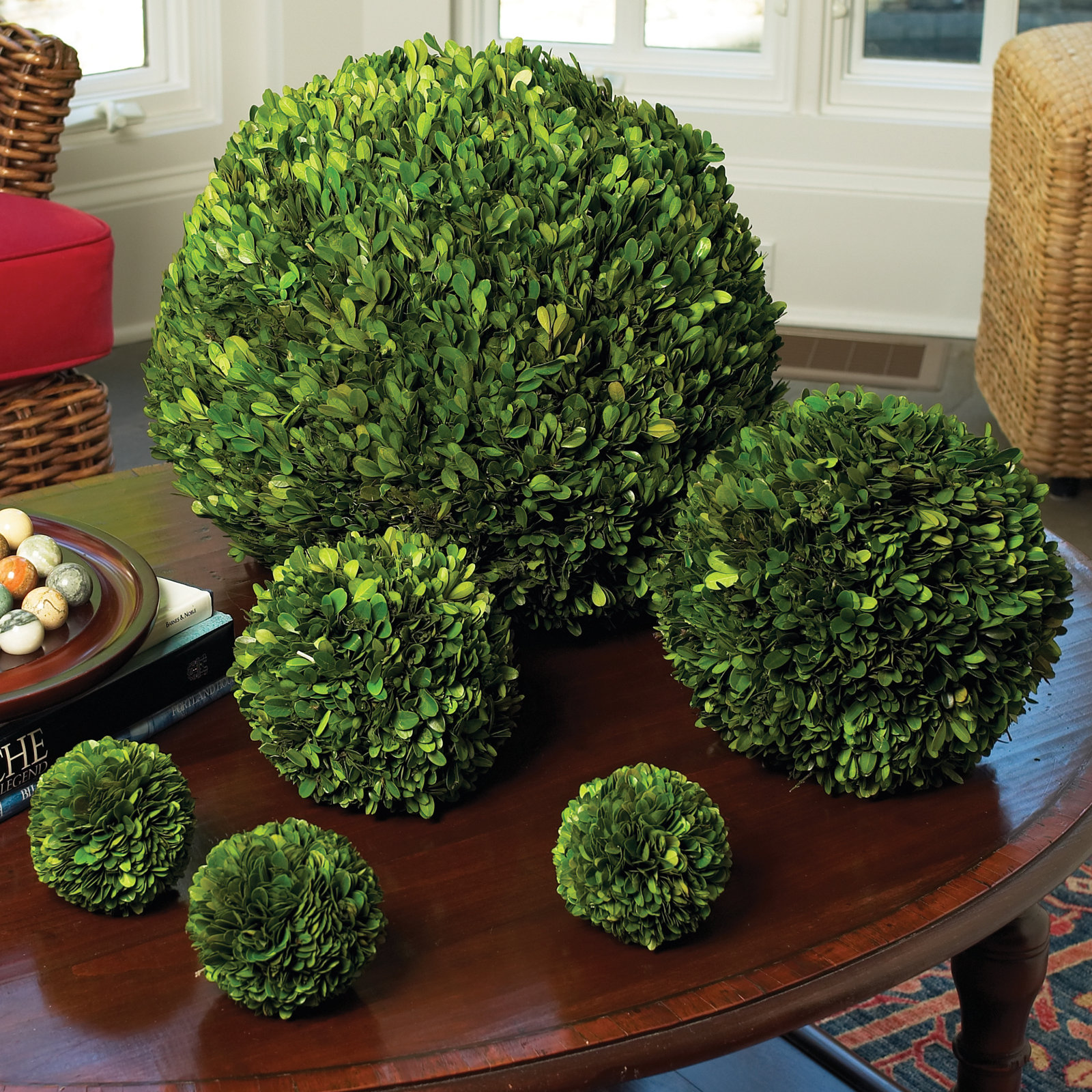 Alby 6" Boxwood Topiary, 6" H X 6" W X 6" D