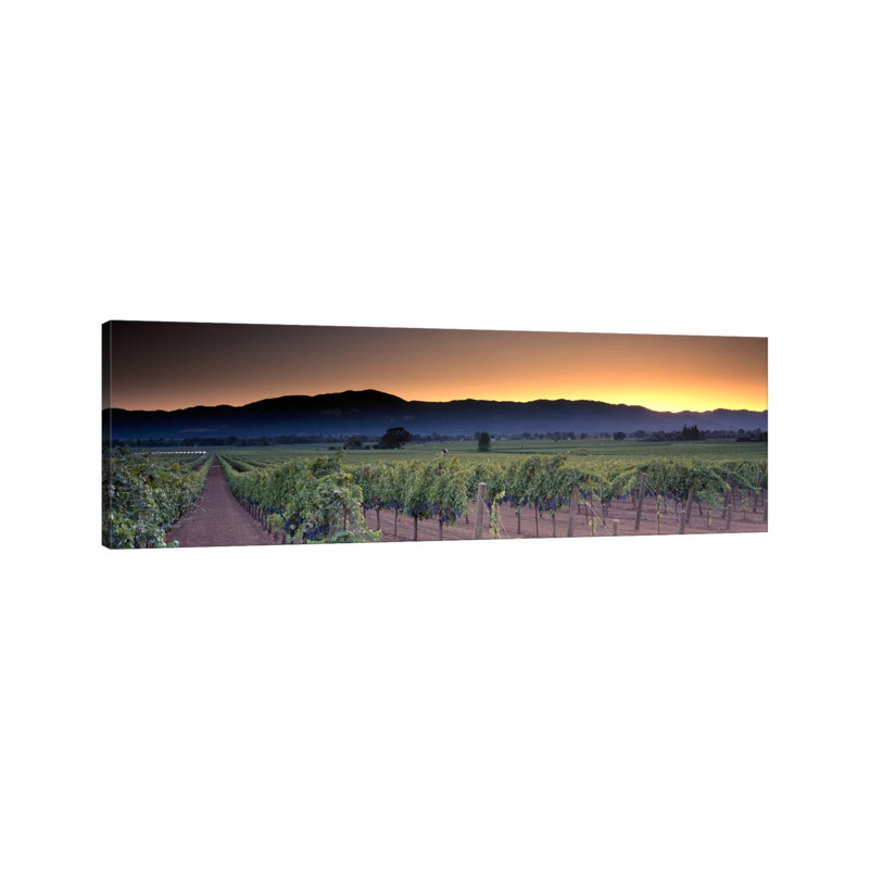Vineyard Landscape, Napa Valley AVA, Napa County, California, USA - Giclée sur toile tendue avec châssis, H 20 po x l 60 po