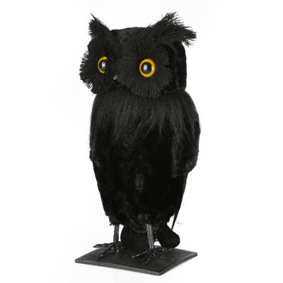 The Holiday Aisle® Halloween Eerie Eyes Owl