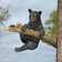 Design Toscano Climbing Bears Up A Tree Cub Statue & Reviews - Wayfair 