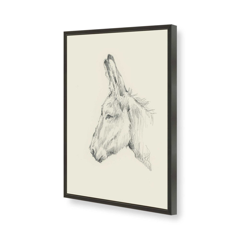 Donkey Study II by Ethan Harper Canvas Art Print, Open Corner Framed Print without Mat Paper, Black, 16"H x 12" W