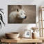 Loup blanc arctique-107887668