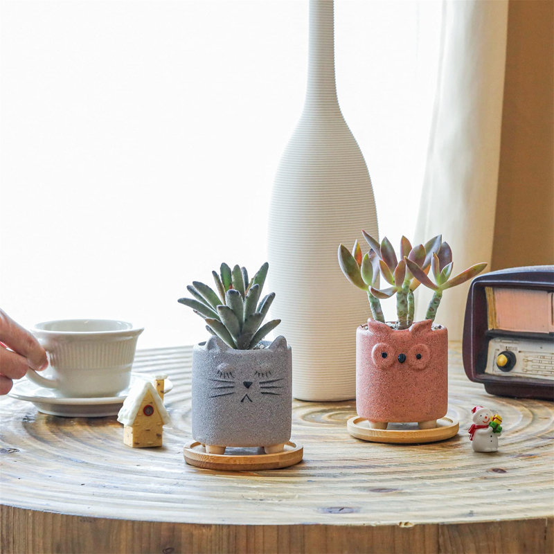 Hovhan Ceramic Pot Planter
