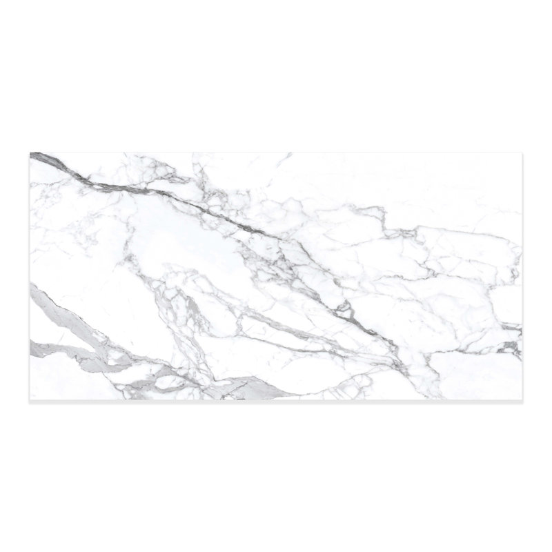 Vida White Matte 24x48 (15.5 Sq. Ft./Case)