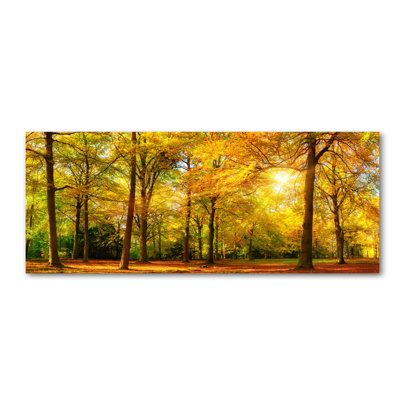Autumn Forest - Wrapped Canvas Print