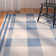 Andish Plaid Indoor / Outdoor Area Rug