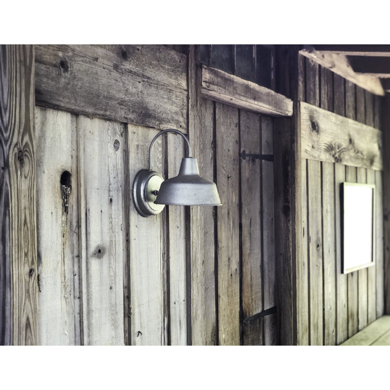 Luminaire de grange d'extérieur Jaklynn, H 11 po x l 8,38 po x P 10,5 po, Galvanisé