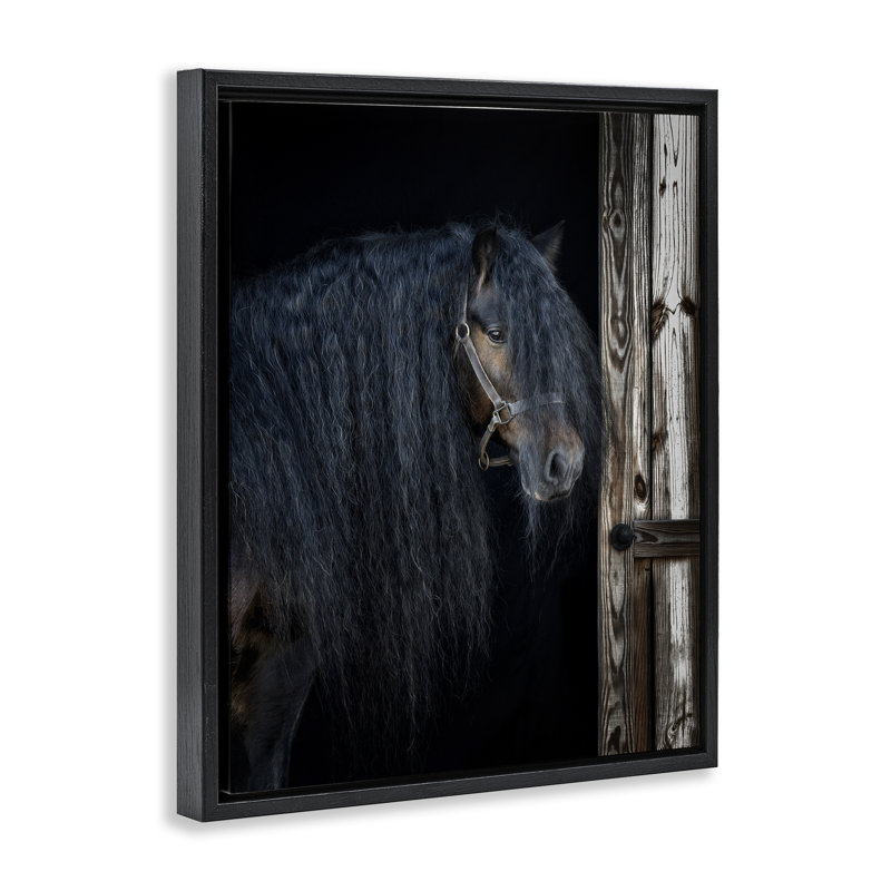 Cheval avec crinière ondulée, art mural sur toile flottant gris, design par PHBurchett, Cadre flottant noir de jais