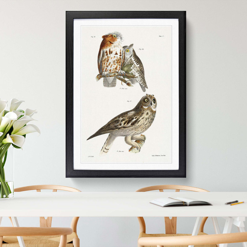 Owls by J.E. De Kay - Framed Print, 48cm H x 36cm W x 2cm D, Black Framed