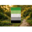Drapeau de la fierté aromantique — Drapeau extérieur-1842808999