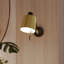 Edward 1 - Light Spotlight-987656165-987656167