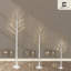6 pi bouleau blanc pré-éclairé avec 72 lumières DEL blanc chaud, brindille blanche artificielle de 72 pouces pour la décoration du Festival-1205680228-1182882912