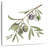 Harnek Fresh Olive Branch I-109226989