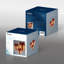 Christmas Decorative Accent-532657011