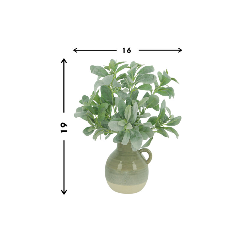 Lamb's Ear In A Ceramic Vase