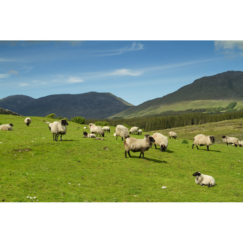 Vandling Sheep In Mountains - Wrapped Canvas Print, 30cm H x 46cm W x 3.8cm D